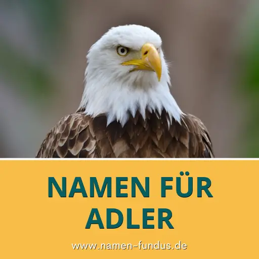 Adler Namen
