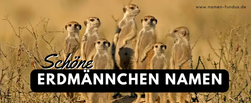 Erdmännchen Namen