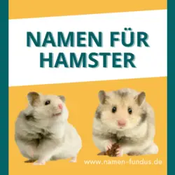 Namen Fur Hamster Mannlich