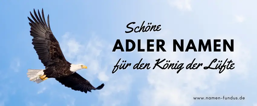 Namen für Adler