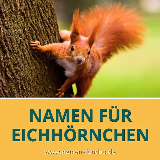 Namen für Eichhörnchen