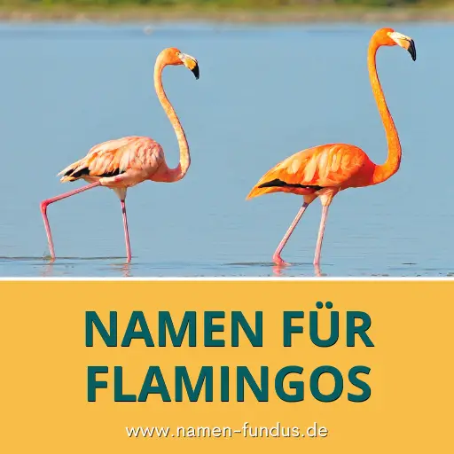 Namen für Flamingos