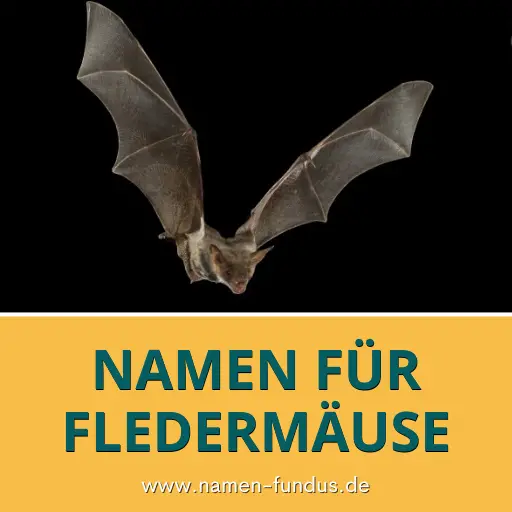 Namen für Fledermäuse