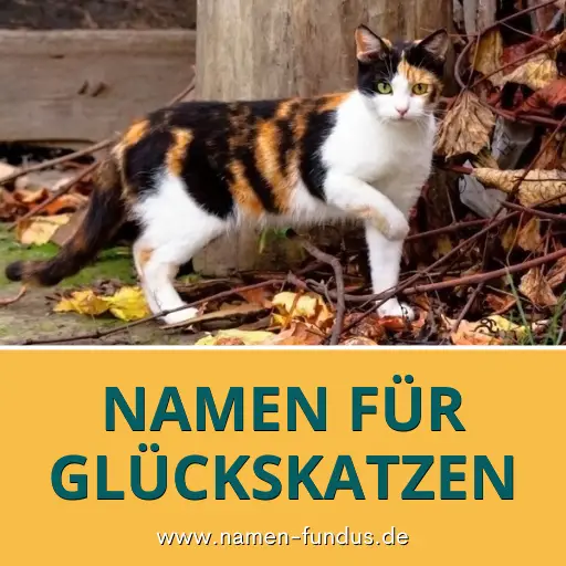 Namen für Glückskatze