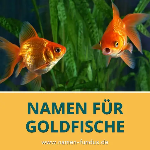 Namen für Goldfische