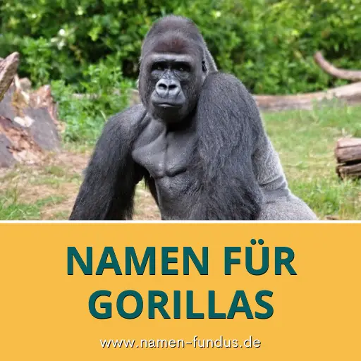 Namen für Gorillas