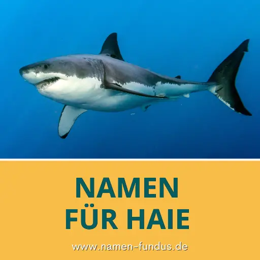 Namen für Haie