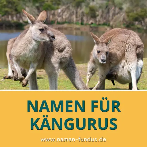 Känguru Namen