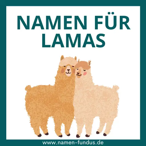 Namen für Lamas