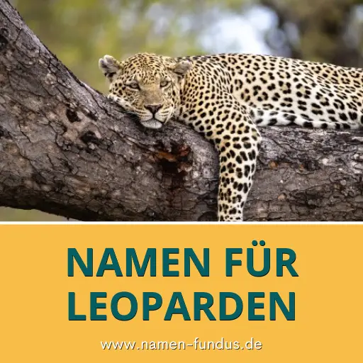 Namen für Leoparden