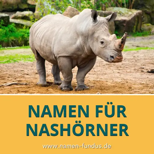 Namen für Nashörner