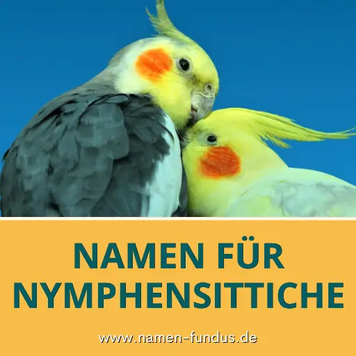 Namen für Nymphensittiche