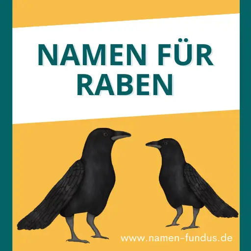 Namen für Raben