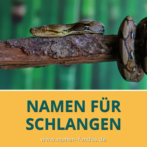 Interessante Namen für Schlangen