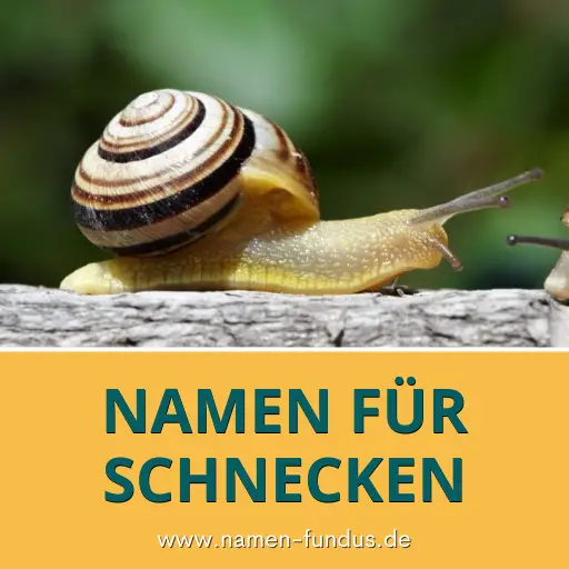 Namen für Schnecken