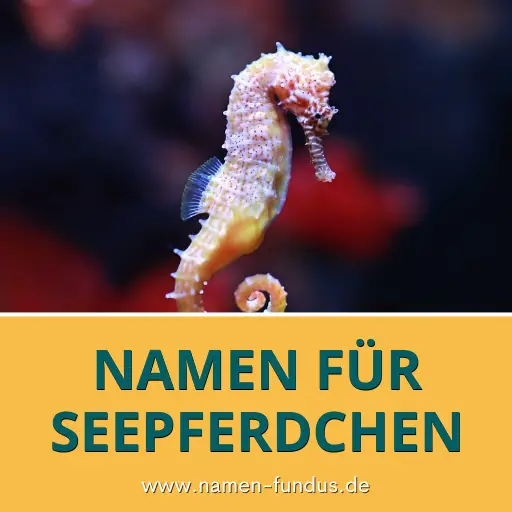 Namen für Seepferdchen