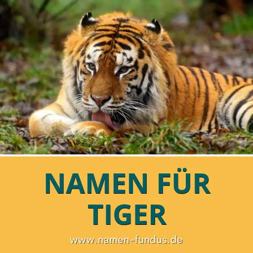 Namen für Tiger
