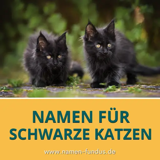 Namen für schwarze Katzen