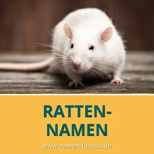 Ratten Namen