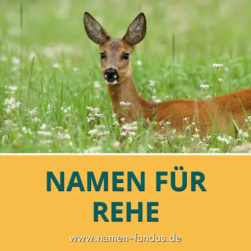 Schöne und süße Reh Namen