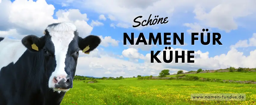 Schöne Kuhnamen