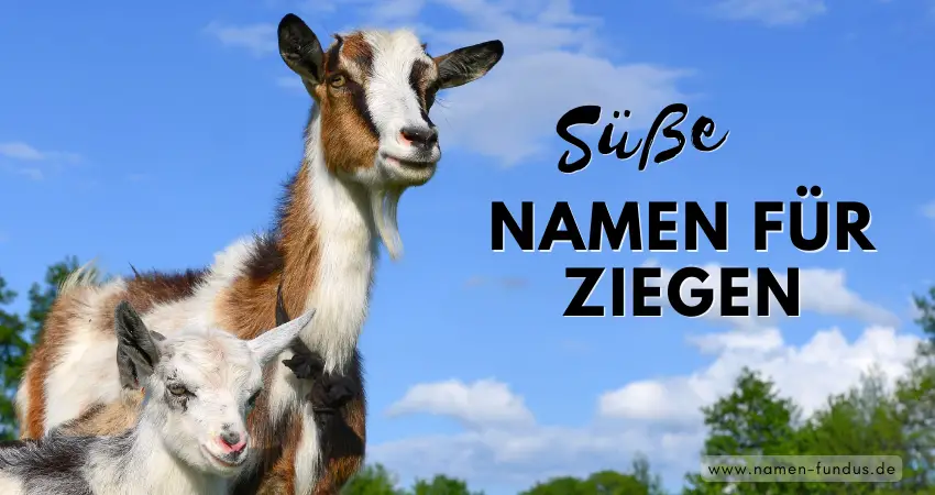 Süße Ziegen Namen