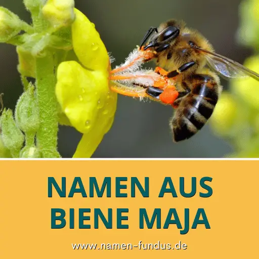 Wie heißen die Tiere bei Biene Maja?